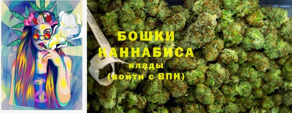 ешки Медногорск