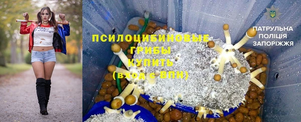дмт Магадан