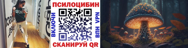 Псилоцибиновые грибы Psilocybine cubensis  даркнет сайт  Циолковский 